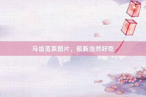 马齿苋菜图片，极新当然好吃