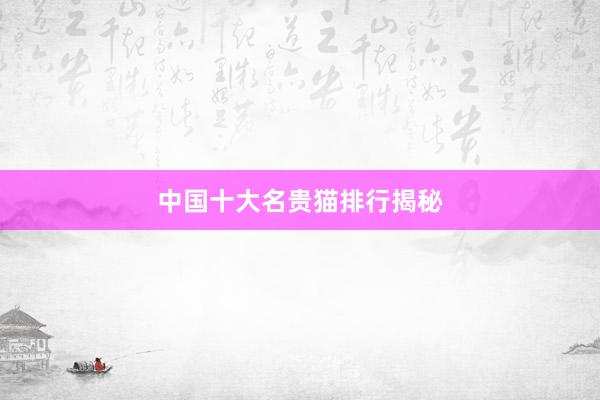 中国十大名贵猫排行揭秘